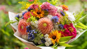 Muchos la subestiman pero es la "planta del siglo": requiere cuidados mínimos y da una explosión de color