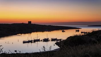 Los científicos regresan a una isla de Menorca para tomar nota de las consecuencias de haber soltado cabras ilegalmente hace 40 años
