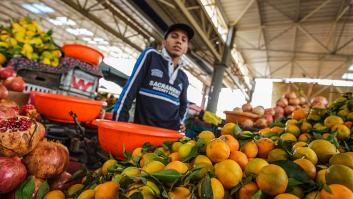 España deja sin oportunidad a los cítricos de Marruecos