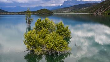 La AEMET se hace eco de la euforia desatada con el nuevo nivel de los embalses y confirma que España acaricia el récord histórico