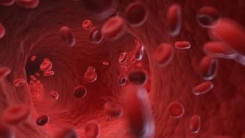 Los alimentos de origen vegetal que funcionan como limpiadores de vasos sanguíneos y reducen el colesterol