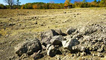 Un niño de 14 años pasea por el parque, tropieza con lo que parece una piedra y con un gesto se hace millonario