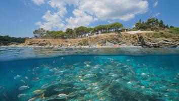 Ni Cadaqués ni Lloret de mar: este desconocido pueblo de la Costa Brava esconde calas de ensueño y aguas cristalinas