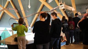 Los científicos resuelven el misterio del cementerio de miles de dinosaurios en el 'Río de la Muerte'