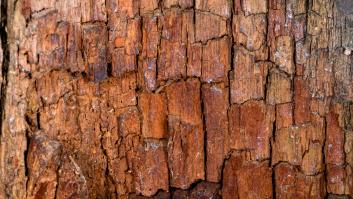 Un nuevo sistema de construcción se crea a partir de una sustancia que abunda en España