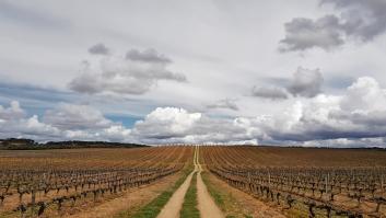 Esta es la única provincia peninsular que carece de montañas