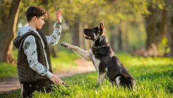 Una madre se entera de que su hijo de 14 años le roba dinero y le manda directo de voluntario: "Es algo excesivo"