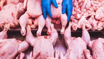 Los expertos elaboran la lista negra de las partes del pollo: esta es la zona que es un nido de pesticidas y sustancias nocivas