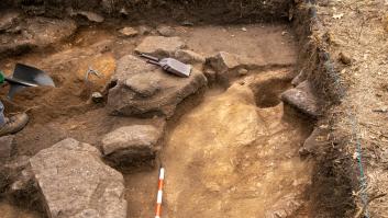 Hallan una nueva especie de Australopithecus que coexistió con los primeros Homo