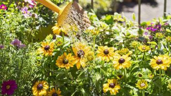 Un grupo de expertos revela cómo acabar con el asesino del jardín: sólo necesitas una cosa