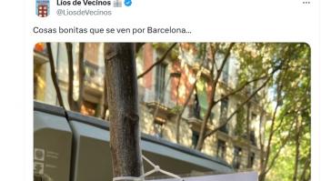 El cartel que alguien ha colgado de un árbol en Barcelona es para leerlo sin prisa y recordarlo a menudo