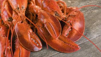 El chef del restaurante descubre una langosta con una mutación rara y una llamada de los biólogos cambia su destino