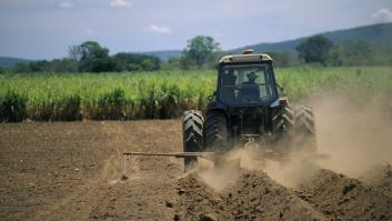Un agricultor de toda la vida ve a un turista liándosela a los tractores del pueblo y se toma la justicia por su mano