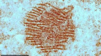 La Policía española analiza una misteriosa huella dactilar con 43.000 años y todo apunta a que fue una payasada