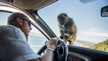 Furia e indignación en Reino Unido por dónde se ha encontrado el mensaje vandálico "Gibraltar español”