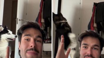 Deja una cámara oculta para grabar a su perro cuando no está en casa y se lleva la sorpresa al volver