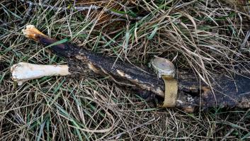 Ucrania revela una cifra brutal de pérdidas de tropas rusas: "Todo esto para nada"