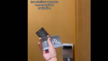 Alquilan una habitación y nada más abrir la puerta pegan un grito por la 'compañera' de piso que las espera