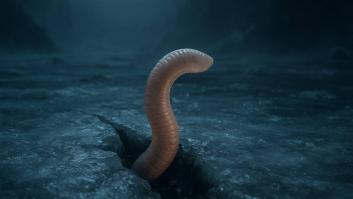 Despiertan a un gusano prehistórico de hace 46.000 años resistente a los ambientes extremos: ya se ha reproducido