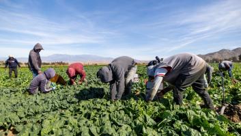 La caza del inmigrante en EEUU vuelve a las granjas, los hoteles y los restaurantes