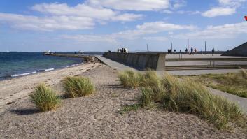 Dejan 30 especies de aves en una isla abandonada y 25 años después el plan de un político enfurece a los biólogos