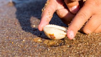 Esta es la multa que te puede caer por llevarte conchas o arena de la playa