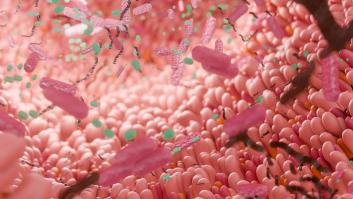 Una médica señala al intestino como el responsable de producir el 90% de nuestra felicidad