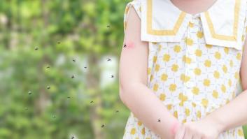 Este es el truco definitivo para ahuyentar a los mosquitos: no es una planta que haya que cuidar