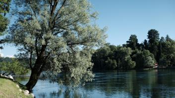 Un pez invasor de 2 metros lo devora todo a su paso y dos pescadores valientes deciden pasar a la acción