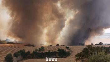 Dan por estabilizado el incendio de Granyena de Segarra (Lleida) con 445 hectáreas afectadas