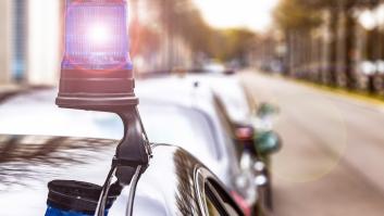 Un policía vende 124 cachorros por 170.000 euros sin pagar impuestos: se queda sin trabajo y encerrado