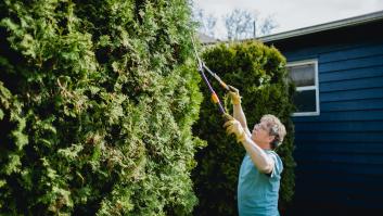 Un jardinero cae mientras poda en el casoplón de 2,6 millones de euros y le niegan la indemnización de 1,1 millones de euros