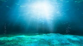 Descubren un filón excepcional del "metal del diablo" en el océano y arranca el plan para extraer sus 740.000 toneladas