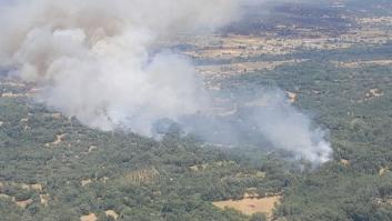 Medio centenar de medios trabaja en un fuego de gravedad 2 en Navaluenga (Ávila)