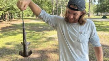 Un tiburón martillo cae sobre un campo de golf y la ciencia busca una explicación para esta extraña aparición