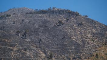 Los incendios forestales de Ibi y Villena (Alicante) evolucionan favorablemente y ya están estabilizados
