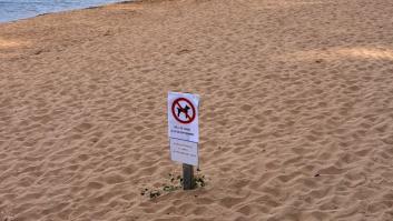 Prohíben entrar con perros en esta playa de Asturias y el añadido que le ponen al cartel es demoledor