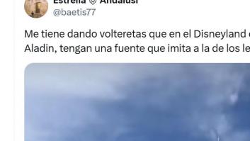 Lo que hay en el parque Disney de Tokio tiene a toda Granada flipando