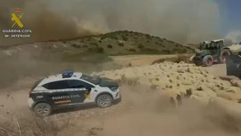 Así ha desalojado la Guardia Civil a más de 400 ovejas ante el incendio de Añorbe (Navarra)