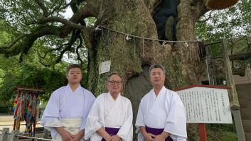 Dos árboles de 500 años, los testigos más longevos del bombardeo atómico de Nagasaki