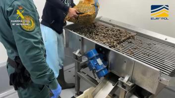 Intervienen 7 toneladas de almejas no aptas para consumo humano en Huelva