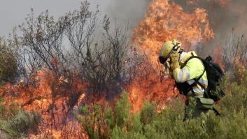 Federico Grillo, experto en incendios forestales: "Por cada euro que inviertes en prevención, reduces 100 en la factura de la extinción"