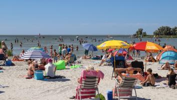 Un turista descubre las 4.000 ‘inquilinas’ que se han apropiado de su sombrilla y no tiene más remedio que llamar al experto