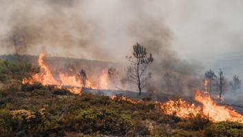 La mejora de la meteorología permite la reanudación del AVE Madrid-Galicia, pero una veintena de incendios graves siguen activos