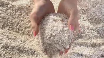 Una playa sin arena y completamente cubierta por conchas: aquí está y este es el motivo