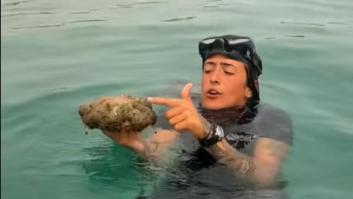 Una experta enseña cuáles son las medusas cuya picadura es inofensiva y por qué: mucha atención este verano