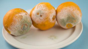 Una viróloga revela el tipo de frutas y verduras que pueden salvarse después de detectar una parte mohosa