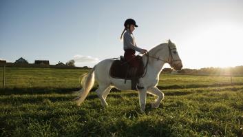 Dona el poni de su hija para los leones de un zoológico: "Tenemos la responsabilidad de imitar la cadena alimentaria natural"