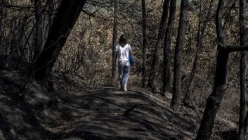 Mejora la situación de los incendios en Galicia y se reducen a dos los grandes fuegos que permanecen activos