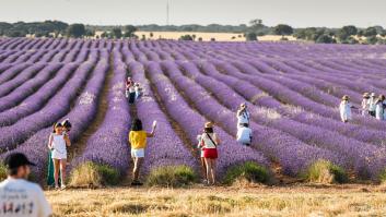 En Reino Unido se enamoran de la localidad medieval española "que es como la Toscana con campos de lavanda"